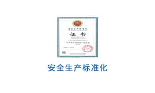 企業(yè)安全生產(chǎn)標(biāo)準(zhǔn)化